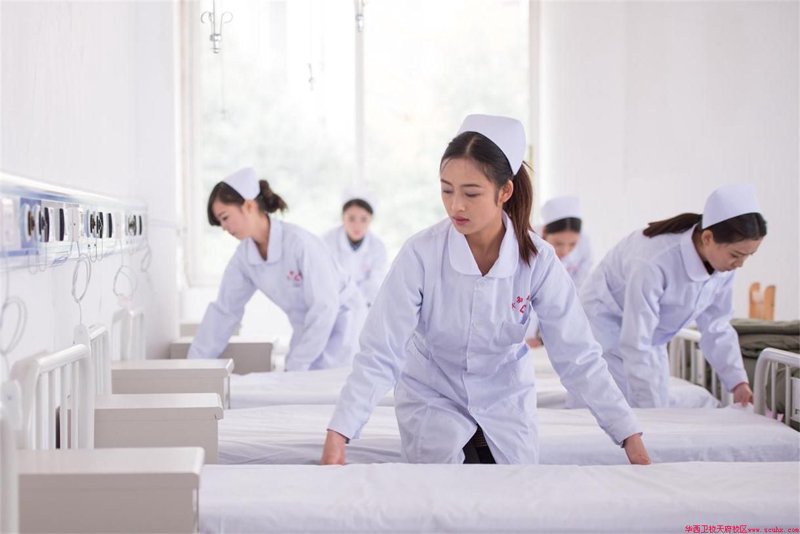 中专教育新政策解读与招生热点